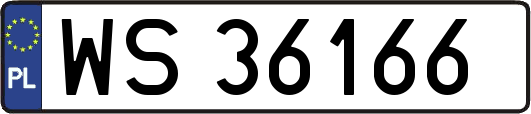 WS36166