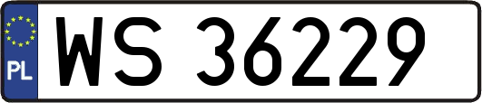 WS36229