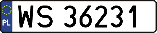 WS36231