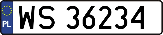WS36234