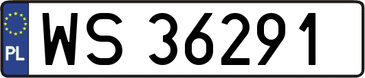 WS36291