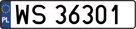WS36301