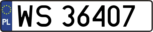 WS36407