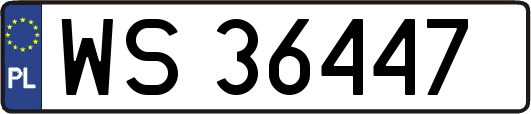 WS36447