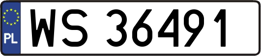 WS36491