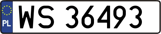 WS36493