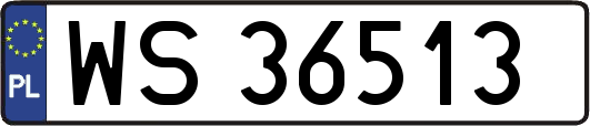 WS36513