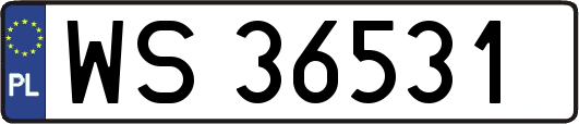 WS36531