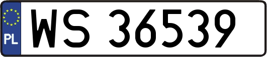 WS36539