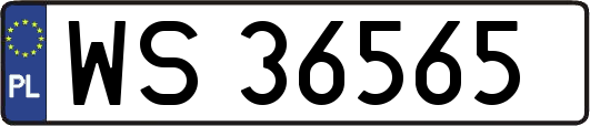 WS36565