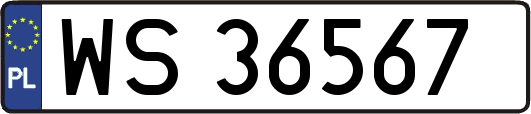 WS36567