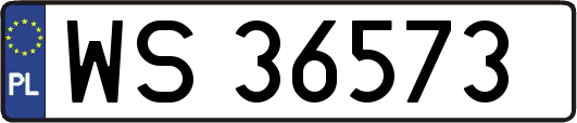 WS36573