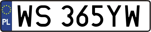 WS365YW