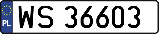 WS36603