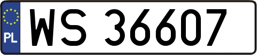 WS36607