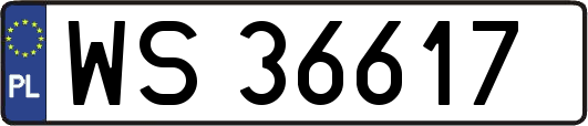 WS36617