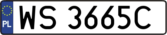 WS3665C