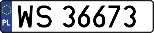 WS36673