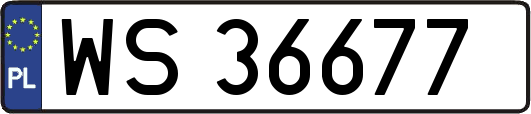 WS36677