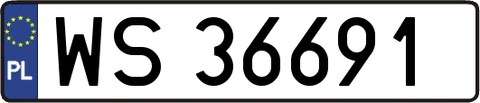 WS36691