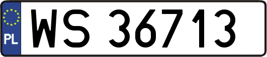 WS36713