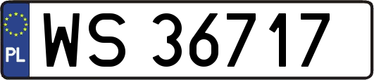 WS36717