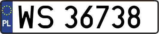 WS36738