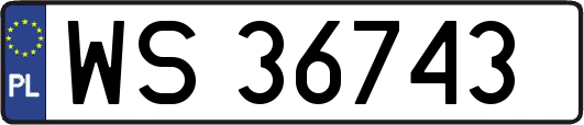 WS36743