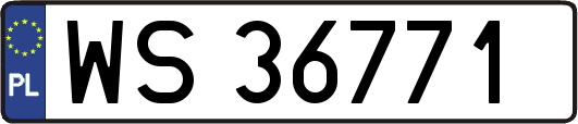 WS36771