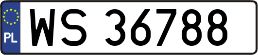 WS36788