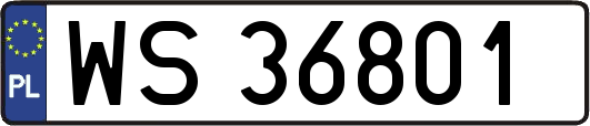 WS36801