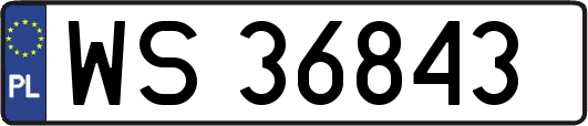 WS36843