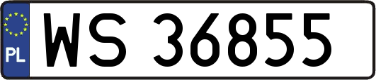 WS36855