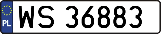 WS36883