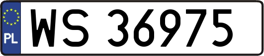 WS36975