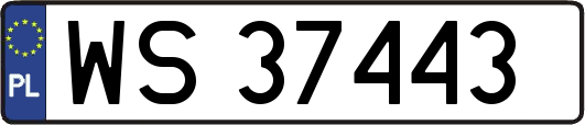 WS37443