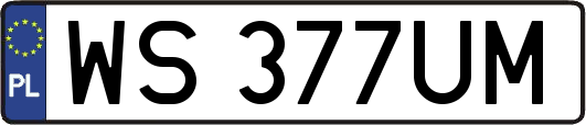 WS377UM