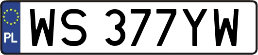 WS377YW