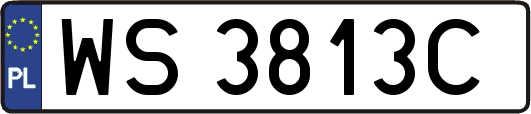 WS3813C