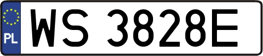 WS3828E