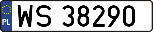 WS38290