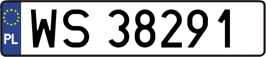 WS38291