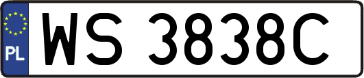 WS3838C