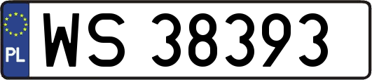 WS38393