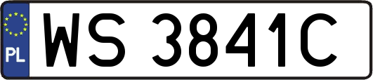 WS3841C