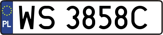 WS3858C