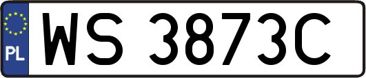 WS3873C