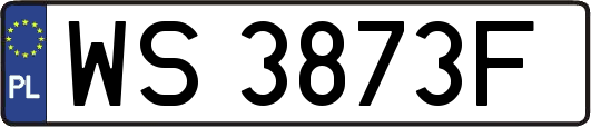 WS3873F