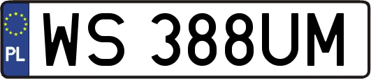 WS388UM