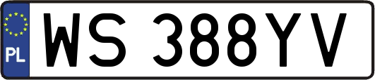 WS388YV